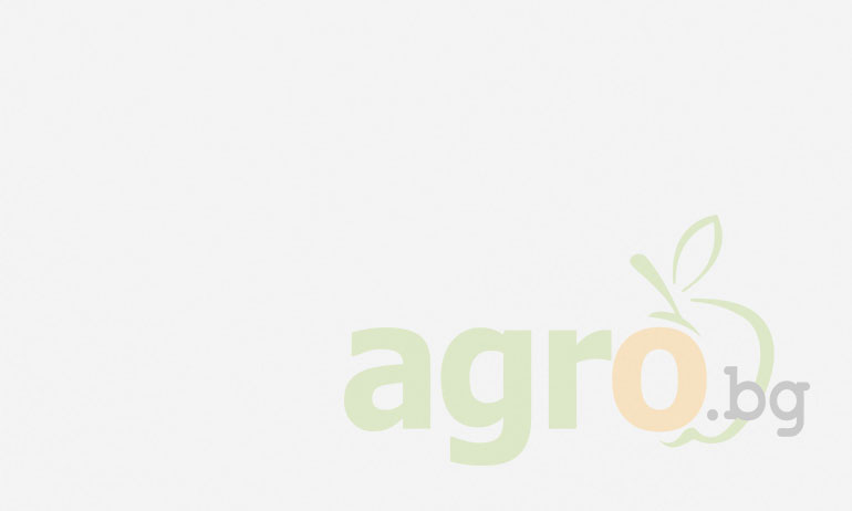 На БАТА АГРО 2024: Работещи решения за хранене на растенията